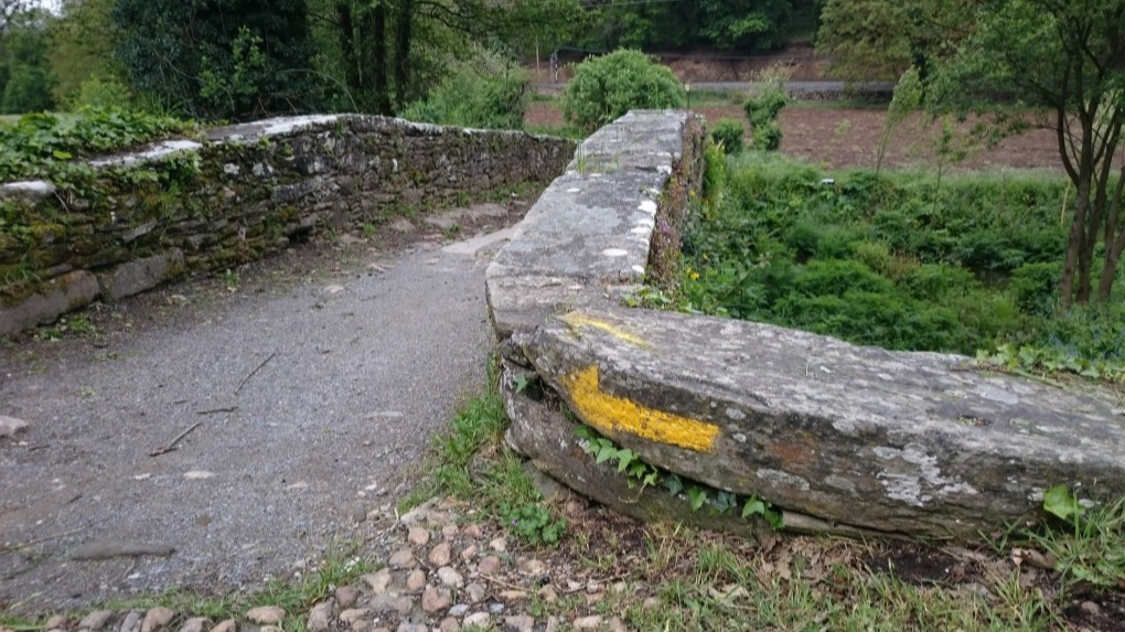 Qué distancia puedo pedalear al día en el Camino