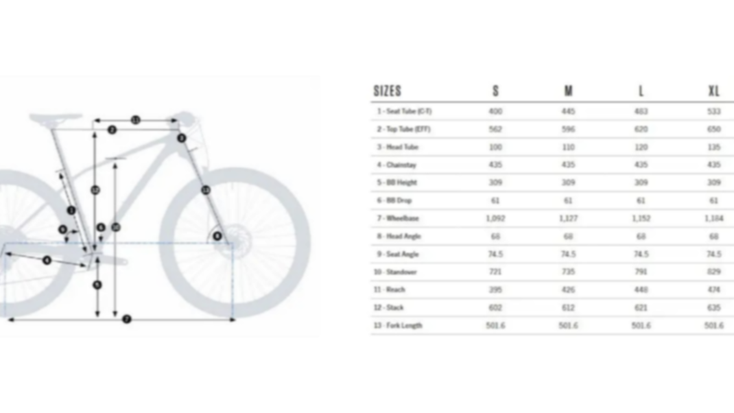 Hai dubbi sulle taglie delle nostre biciclette?